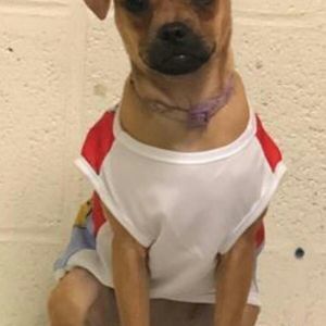 Meet your Posher, Ruben